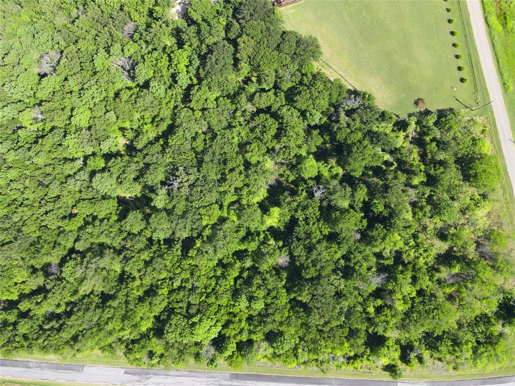 47-79 Bluffview Estates Road Corsicana, TX 75109 - Photo 10 of 20 a view of a yard