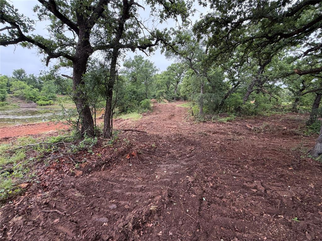137 County Road 137 Road Cisco, TX 76437 - Photo 10 of 12