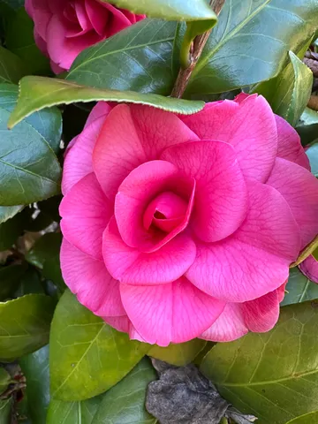 $430,000 | 3806 Leane Drive, Tallahassee, FL 32309