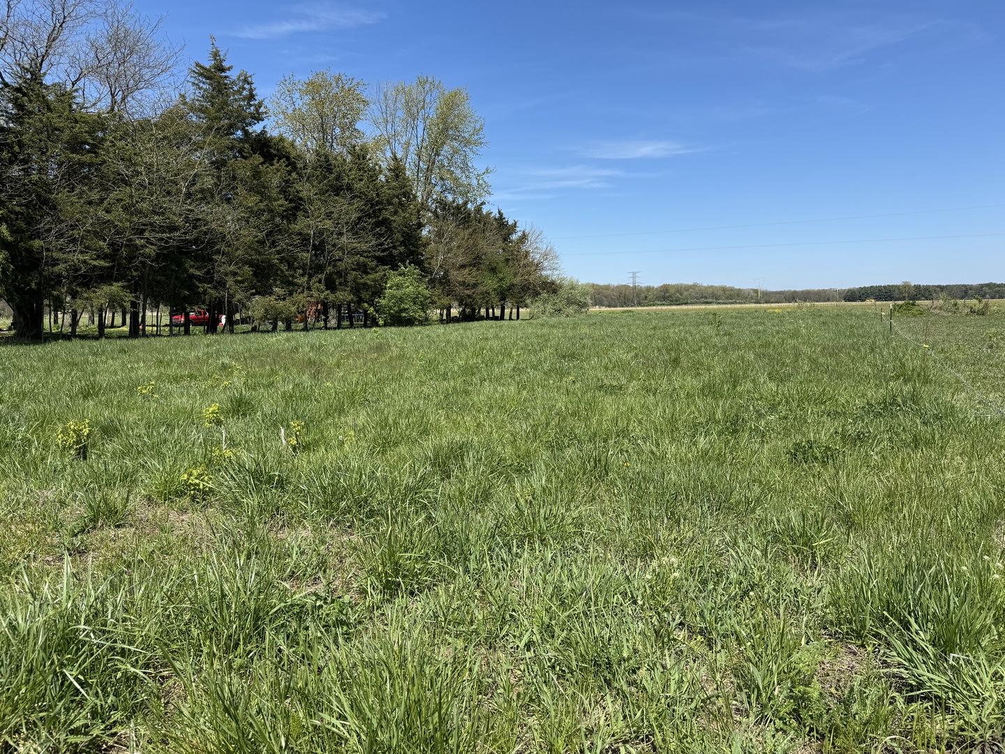 a view of an outdoor space and a yard