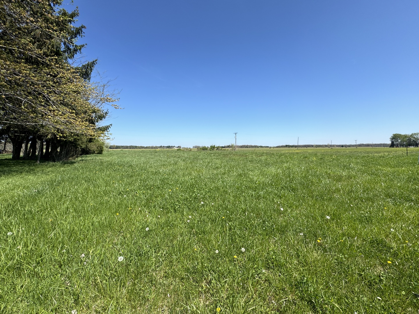 24230 West 6000th Road North Essex, IL 60935 - Photo 3 of 6 a view of a green field with lots of bushes