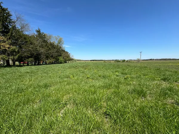 a view of a green field with lots of bushes