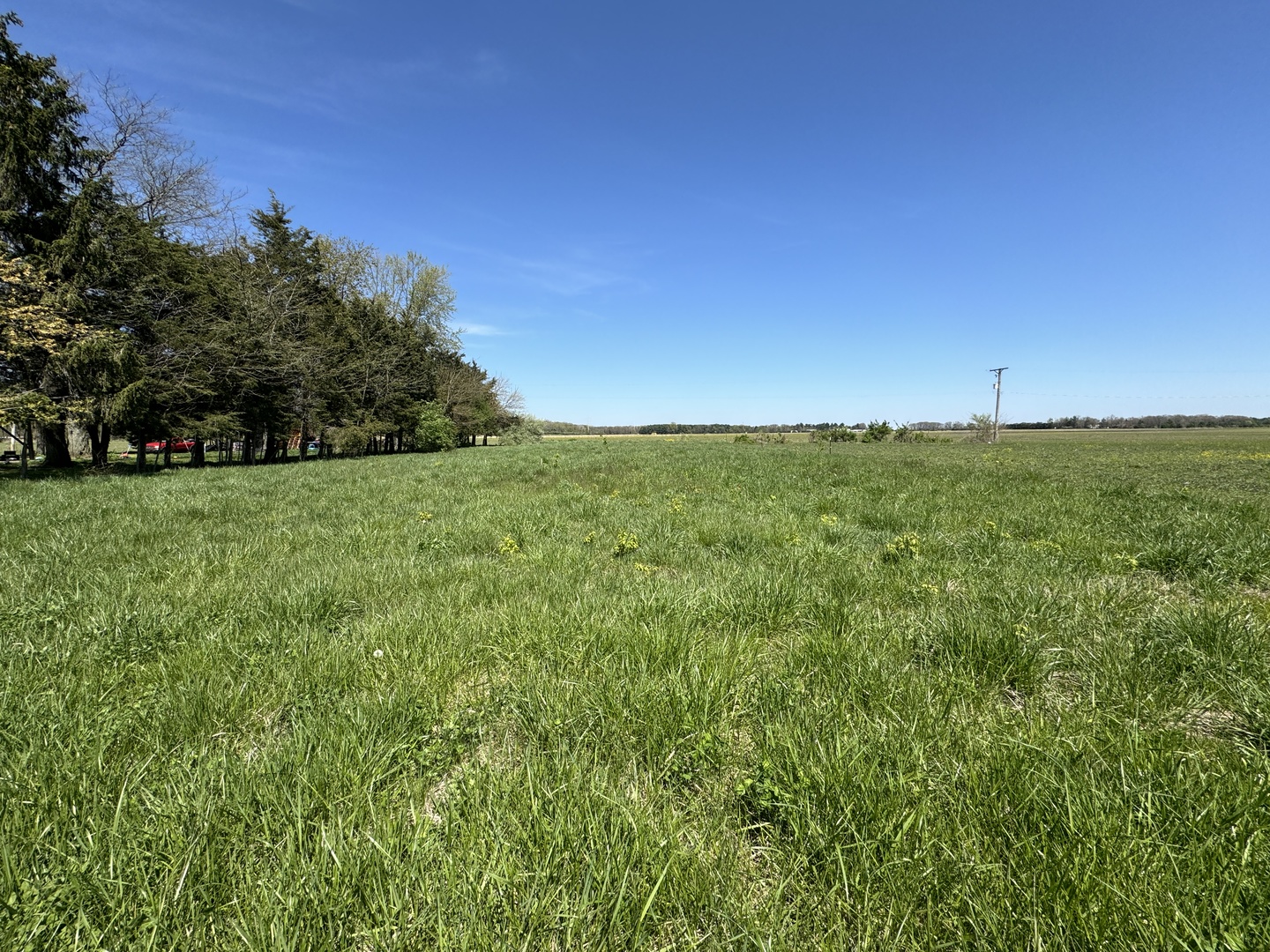 24230 West 6000th Road North Essex, IL 60935 - Photo 5 of 6 a view of a green field with lots of bushes