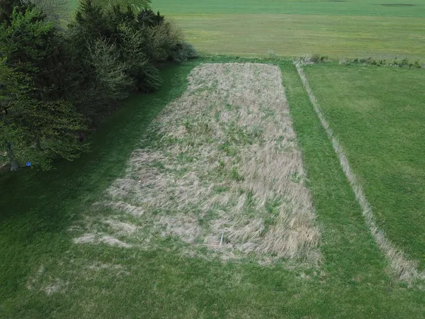 a view of a green yard