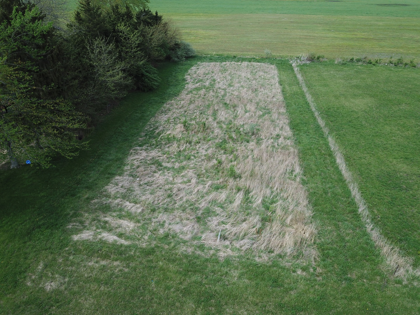 24230 West 6000th Road North Essex, IL 60935 - Photo 6 of 6 a view of a green yard