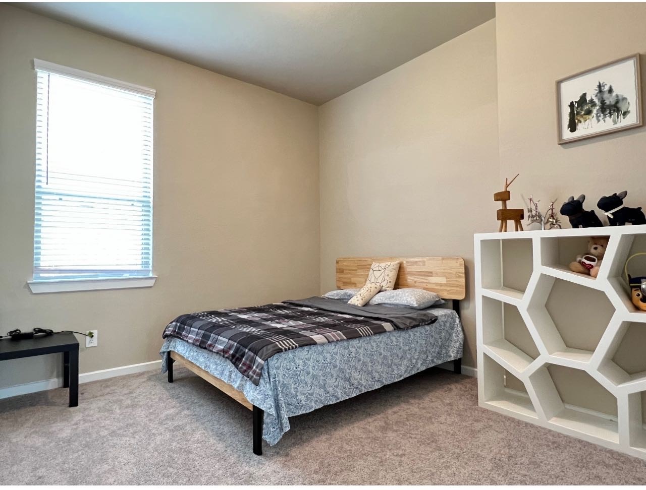 4715 Purple Fountain Drive Rosenberg, TX 77469 - Photo 15 of 16