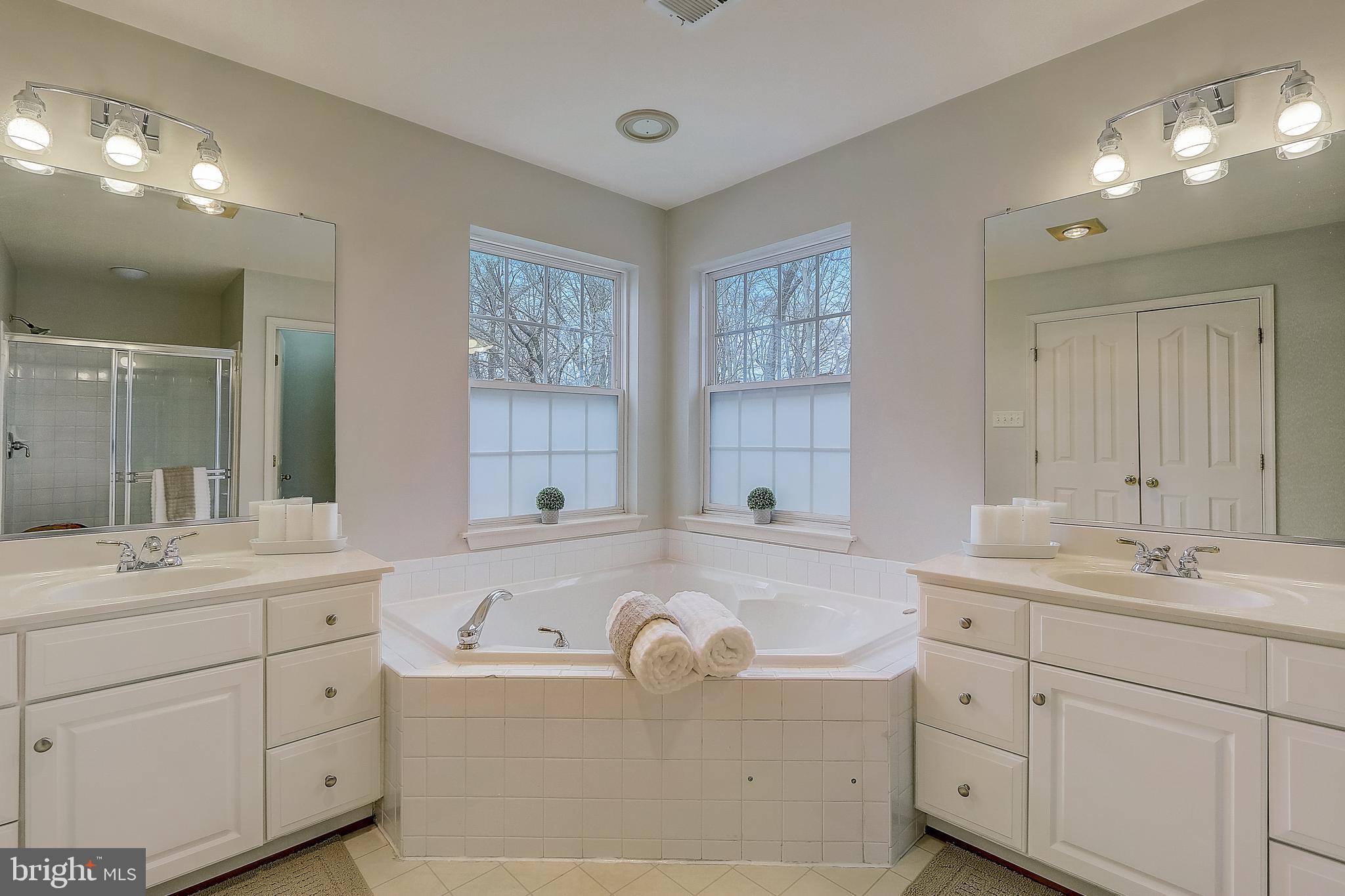 8000 Big Pool Road Laurel, MD 20724 - Photo 47 of 80 Owners Ensuite Bath