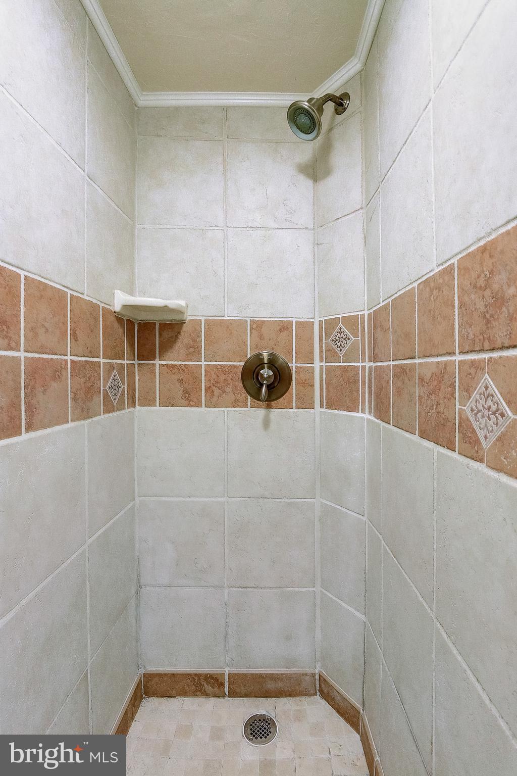 8000 Big Pool Road Laurel, MD 20724 - Photo 68 of 80 Custom Walkin Shower