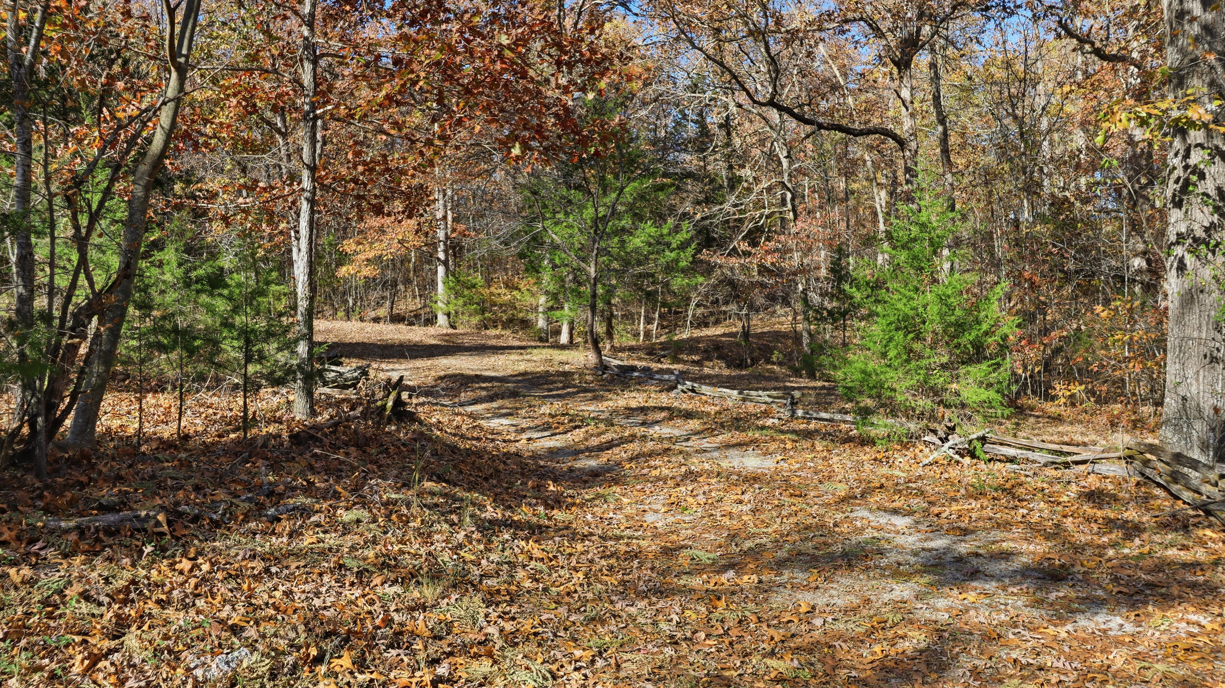 214 State Rte KK Pottersville, MO 65790 - Photo 35 of 35 34