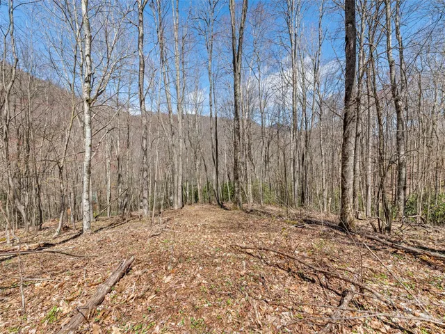 $40,000 | 0 Jonathan Trail, Maggie Valley, NC 28751