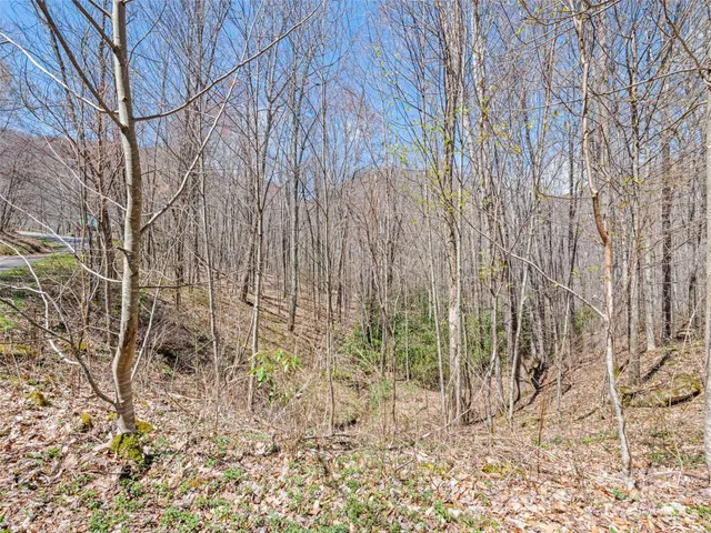 $40,000 | 0 Jonathan Trail, Maggie Valley, NC 28751