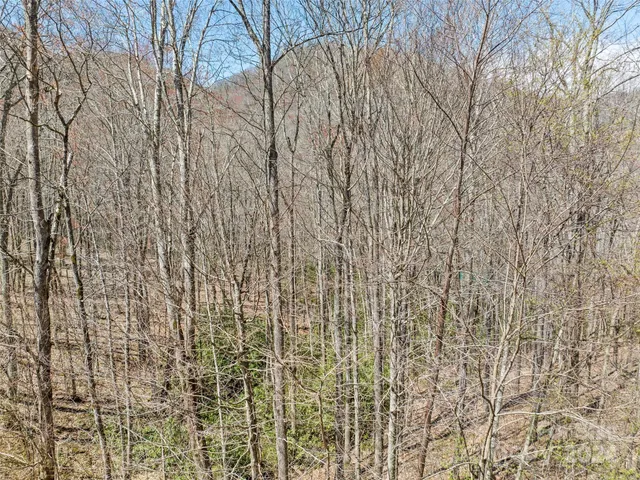 $40,000 | 0 Jonathan Trail, Maggie Valley, NC 28751