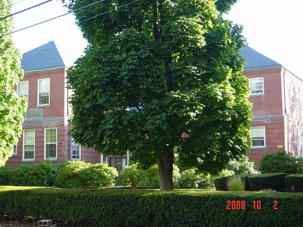 a view of a brick house with a yard and plants