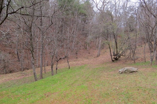 Tbd Pridemoore Road, Unit 2 Galax, VA 24333 - Photo 12 of 72 Gallery Image 12