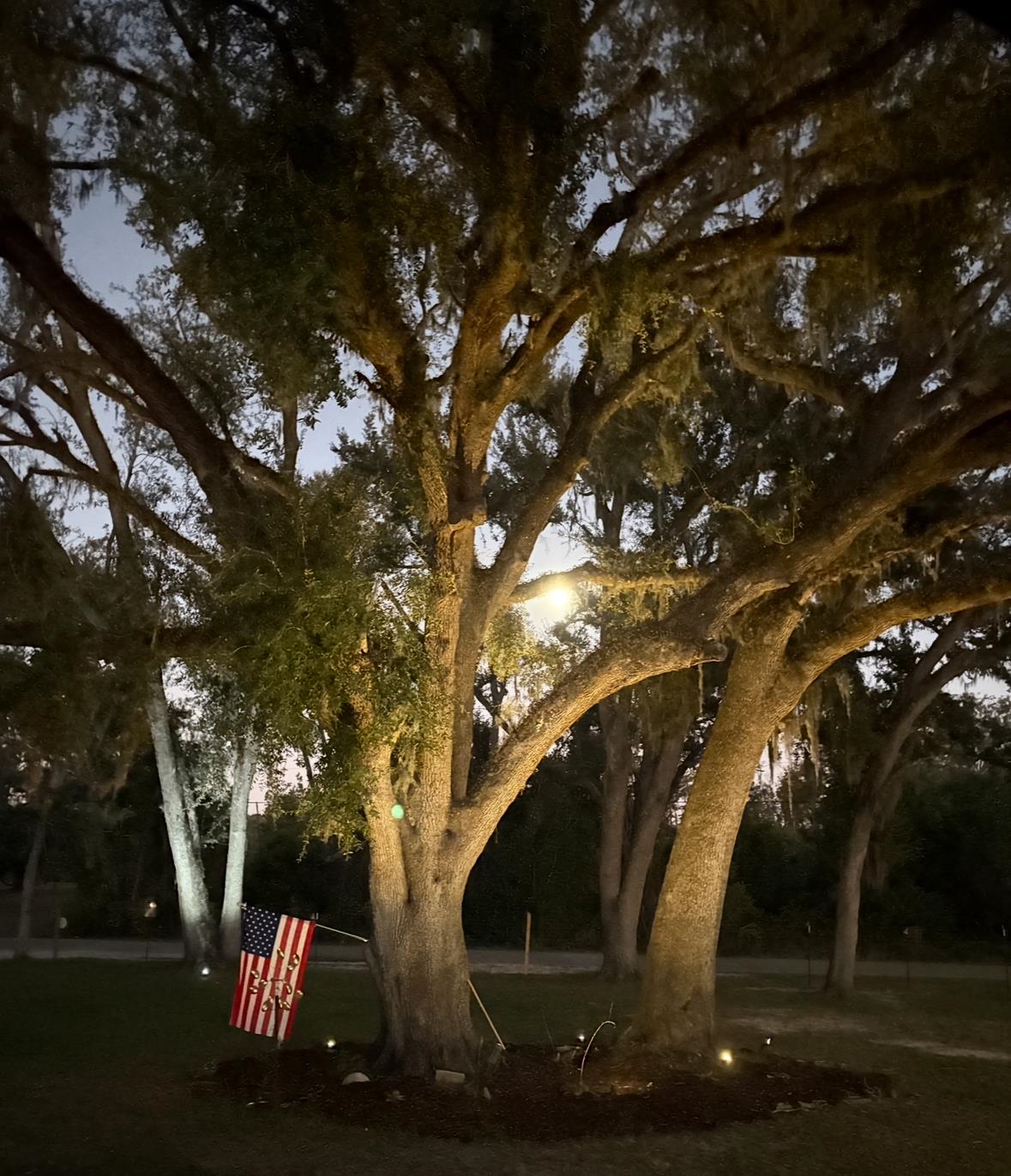 3639 Joel Aman Road Perry, FL 32347 - Photo 7 of 36