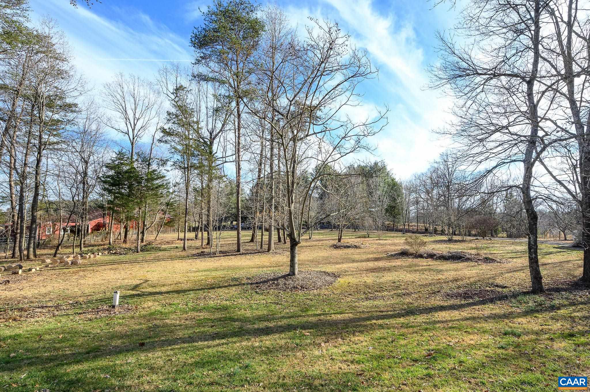 9663 Dyke Road Dyke, VA 22935 - Photo 23 of 55 a view of a yard with a tree