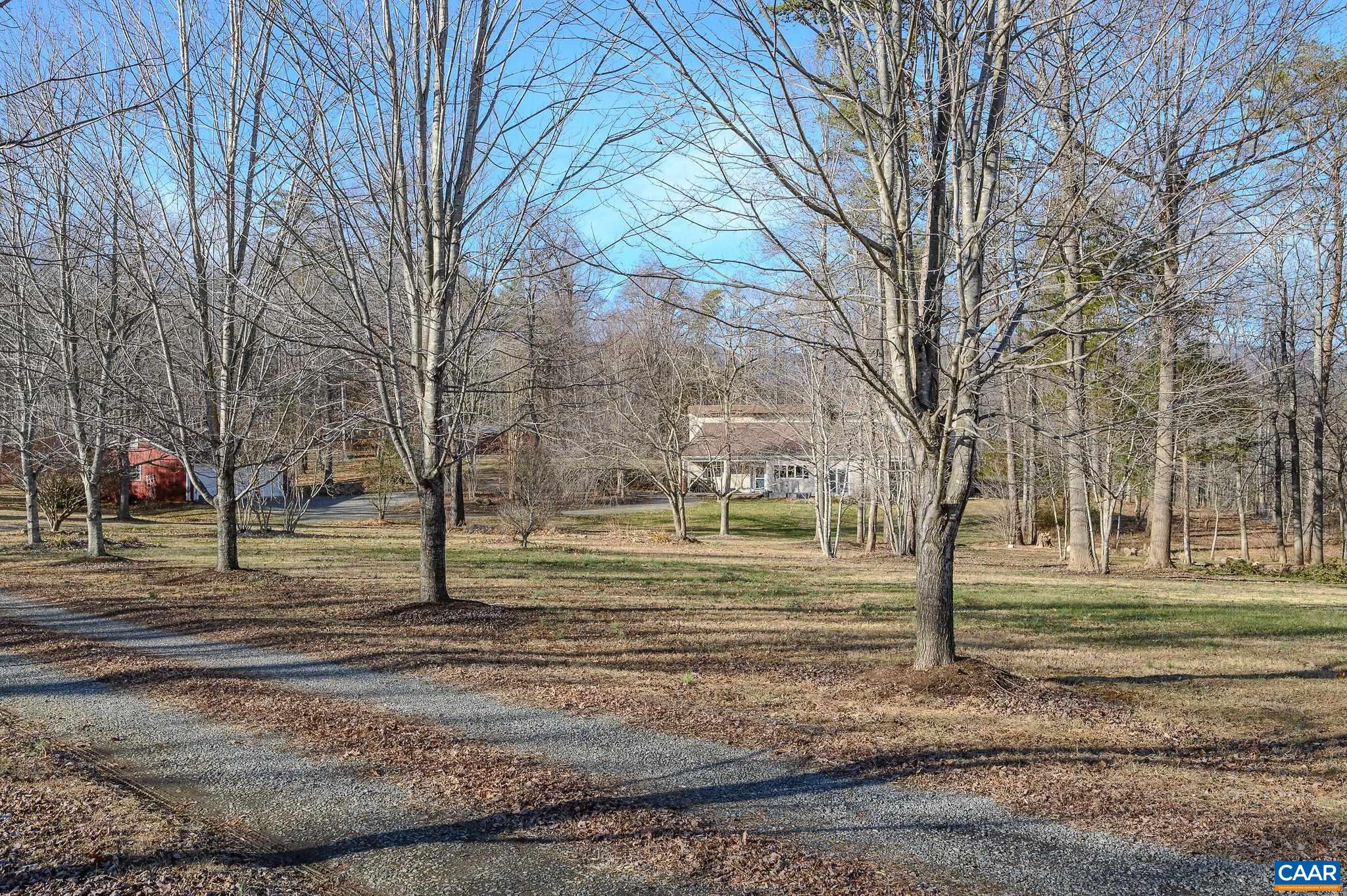 9663 Dyke Road Dyke, VA 22935 - Photo 35 of 55 a view of road with trees
