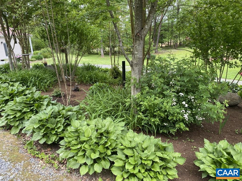 9663 Dyke Road Dyke, VA 22935 - Photo 48 of 55