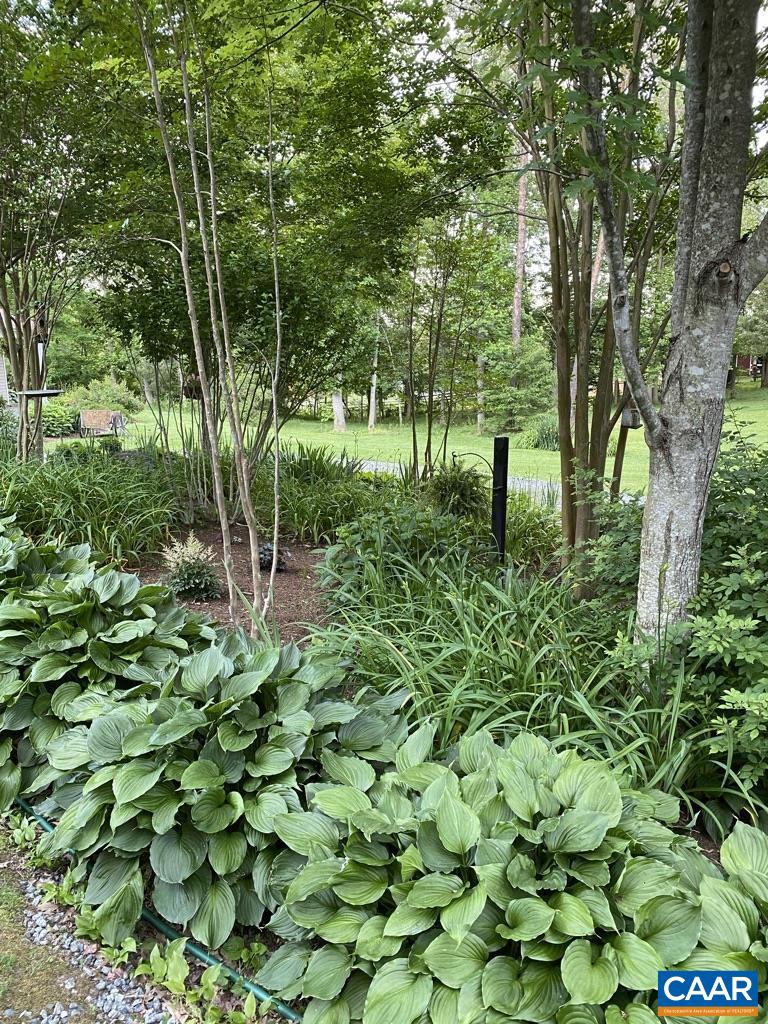 9663 Dyke Road Dyke, VA 22935 - Photo 53 of 55 a backyard of a house with lots of green space and a fountain