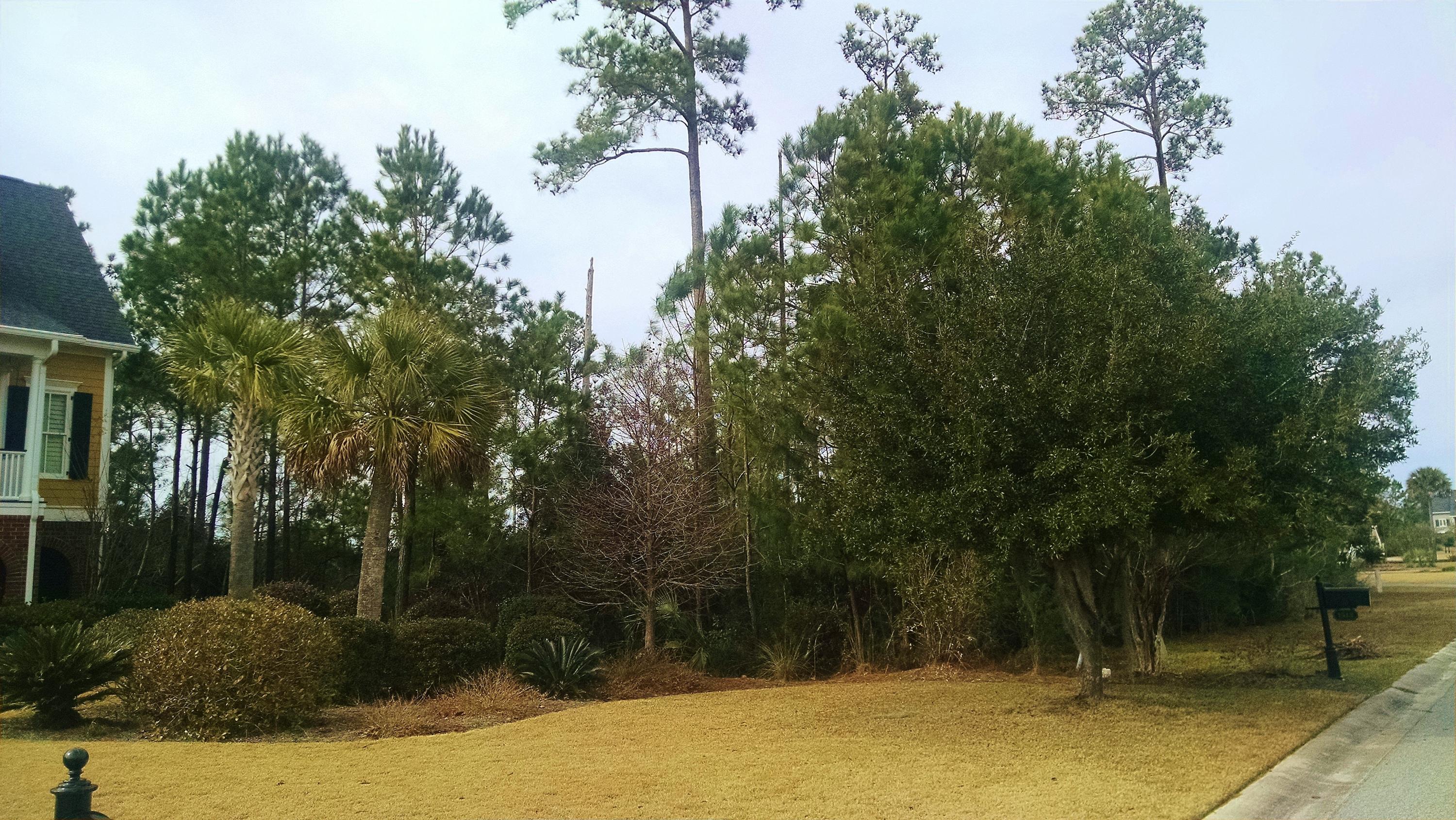 1512 Red Drum Road Mount Pleasant, SC 29466 - Photo 6 of 13 L frt