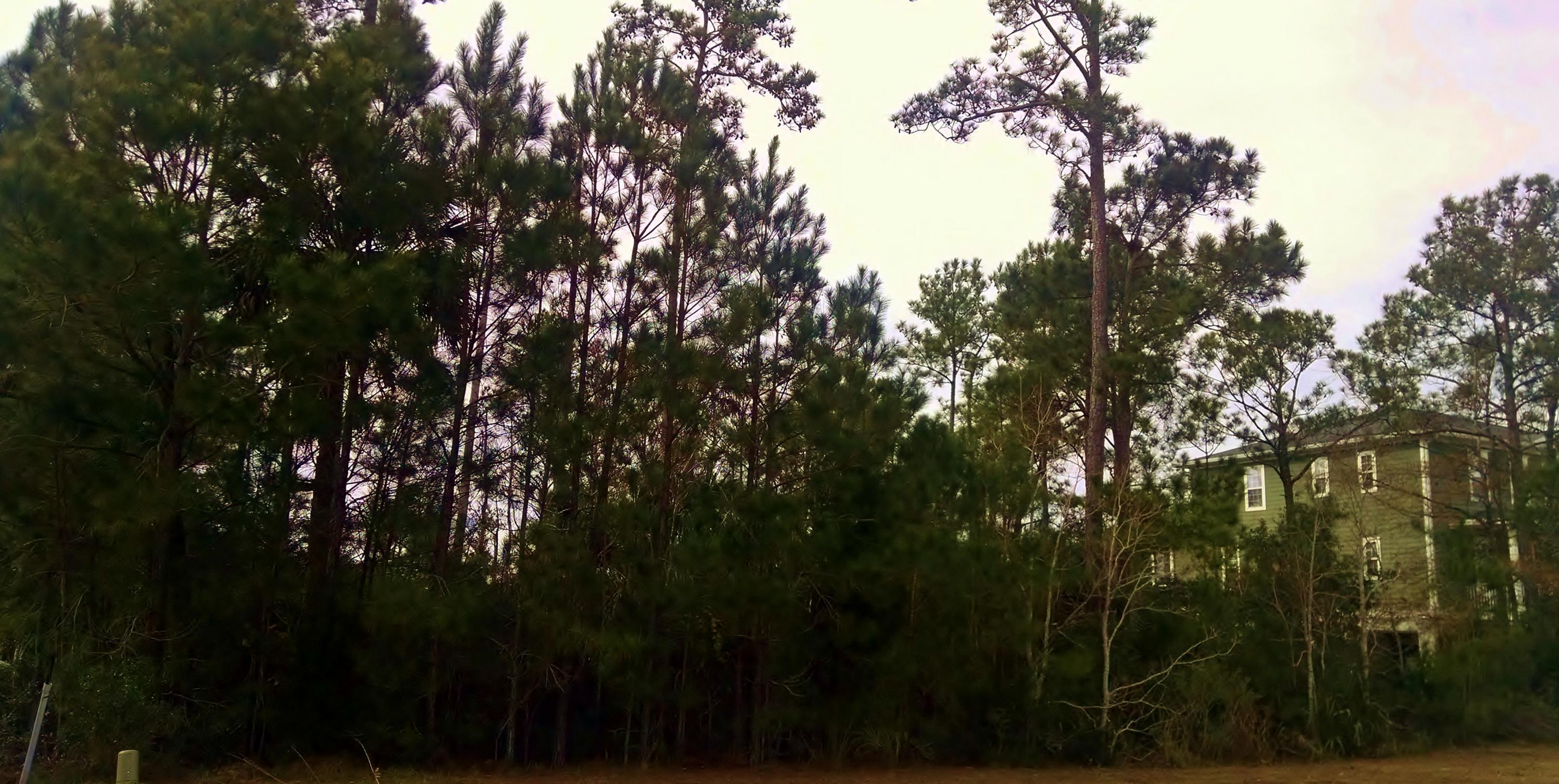 1512 Red Drum Road Mount Pleasant, SC 29466 - Photo 7 of 13 frt R