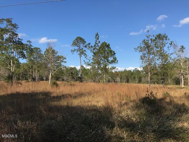 Nhn Old Shell Landing Road Ocean Springs, MS 39564 - Photo 1 of 4 Front