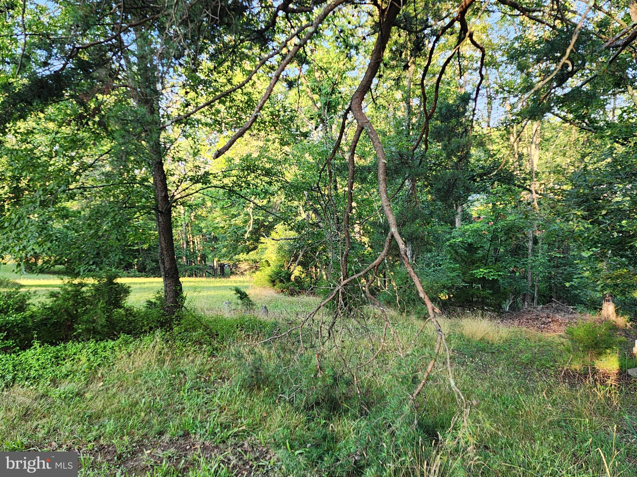 4549 Georges Run Road Ridgeley, WV 26753 - Photo 20 of 56