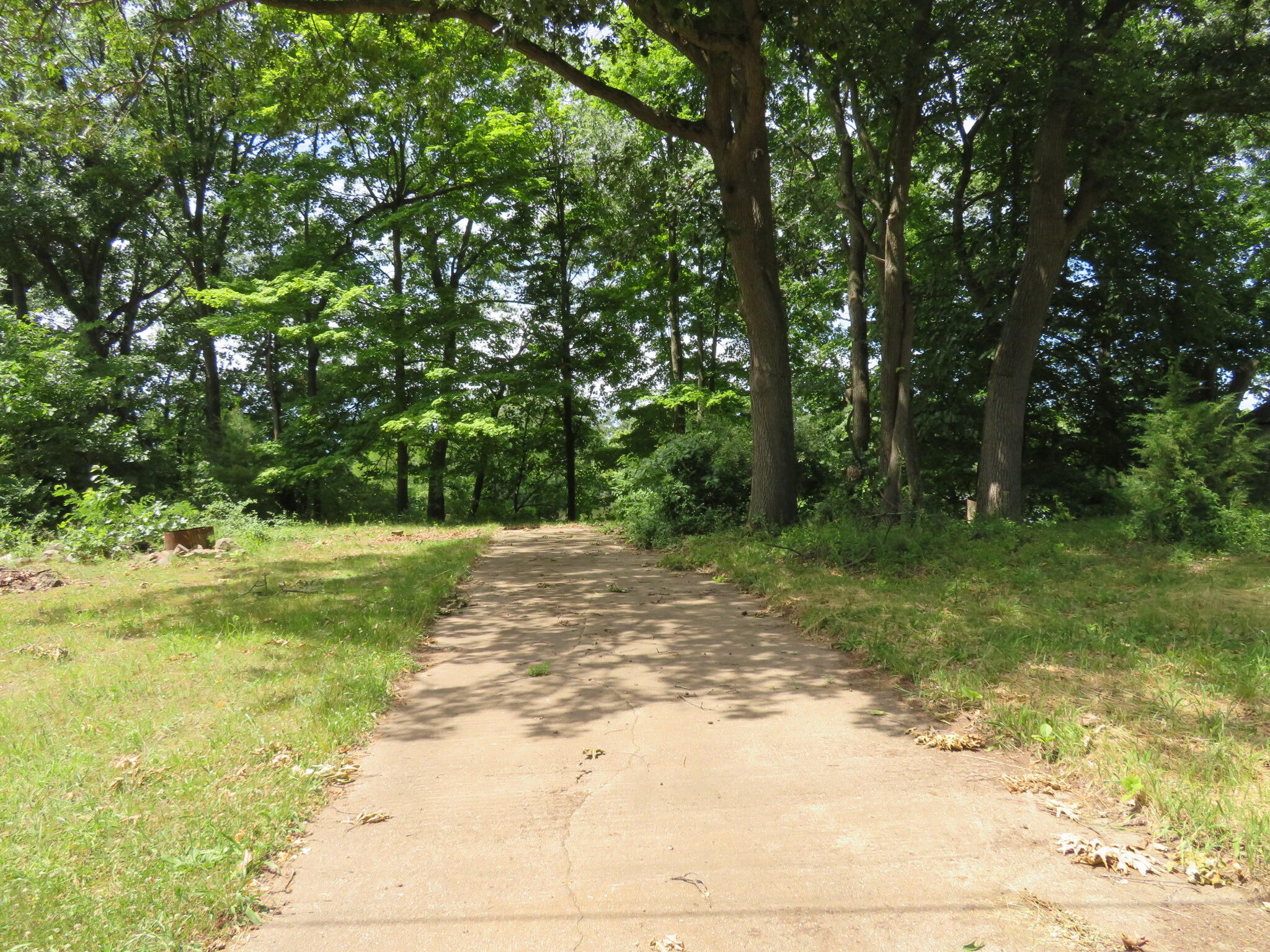 Three Rivers Mi 49093 Drive Three Rivers, MI 49093 - Photo 1 of 10 IMG_9873