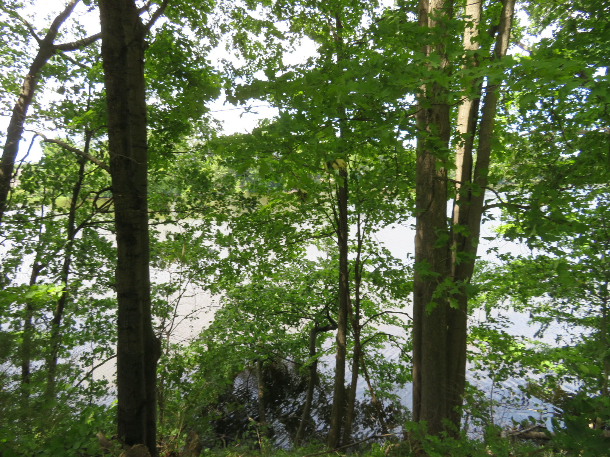 Three Rivers Mi 49093 Drive Three Rivers, MI 49093 - Photo 3 of 10 IMG_9845
