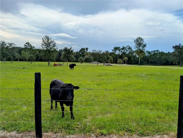 $425,000 | Peterson Road, Pierson, FL 32180