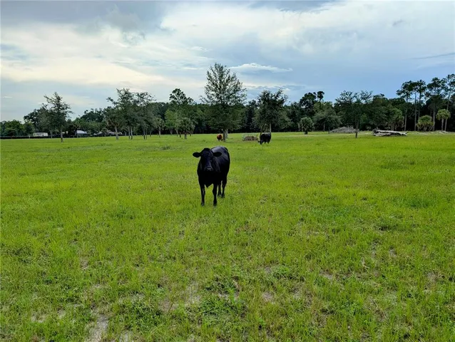 $425,000 | Peterson Road, Pierson, FL 32180