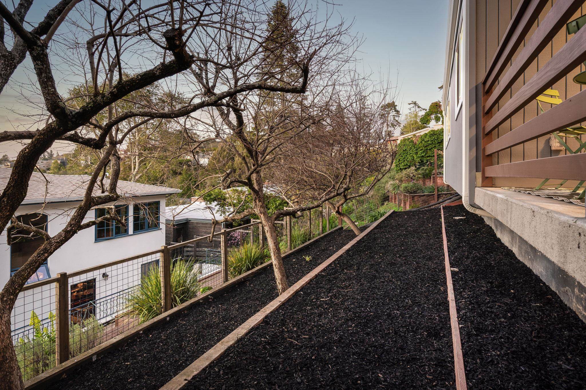 1468 Summit Road Berkeley, CA 94708 - Photo 45 of 59 View of yard