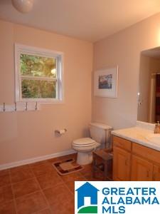 480 Timber Trail Warrior, AL 35180 - Photo 19 of 23