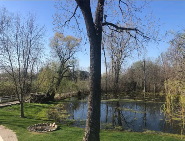 $699,000 | 15058 West 147th Street, Homer Glen, IL 60491