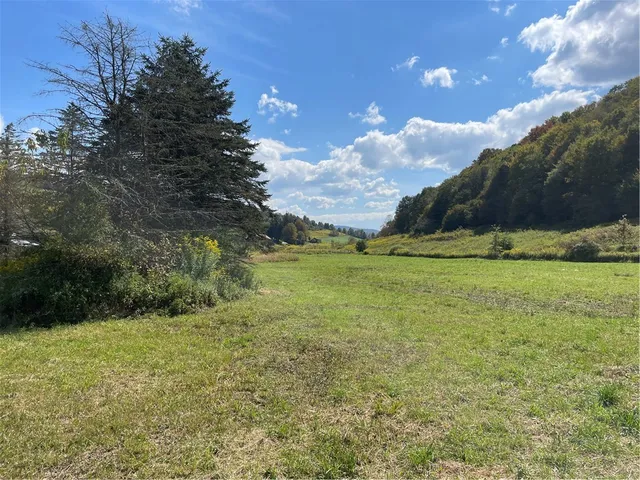 $320,000 | 2027 West Platner Brook Road, Delhi, NY 13753