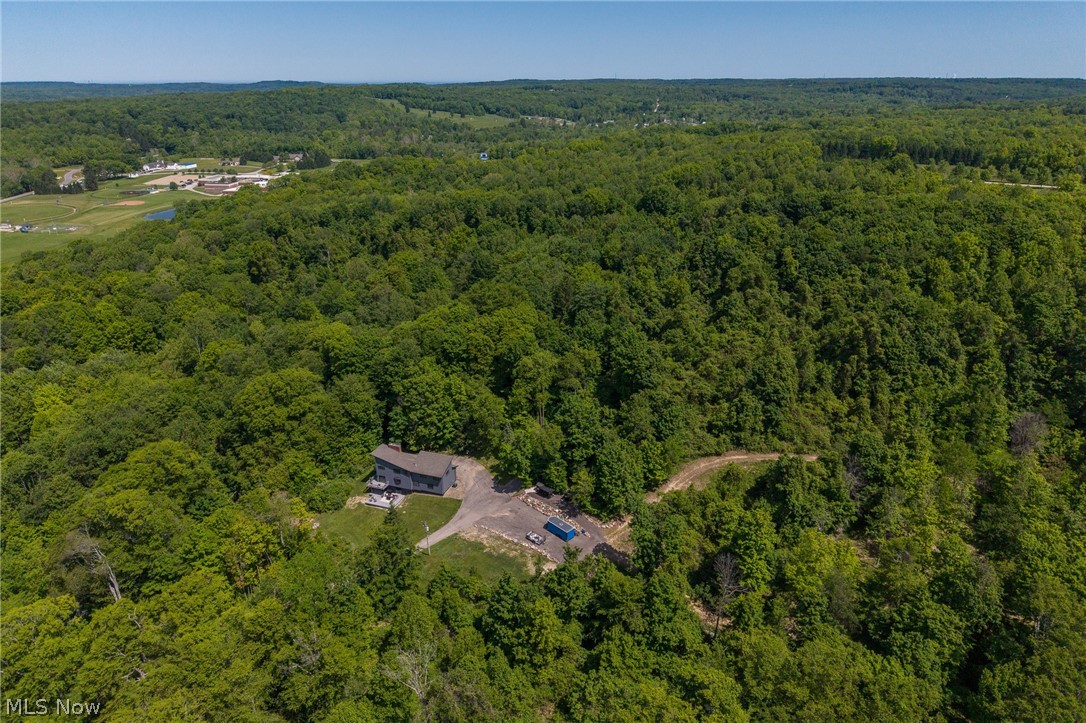 10640 Butternut Road Chesterland, OH 44026 - Photo 38 of 39