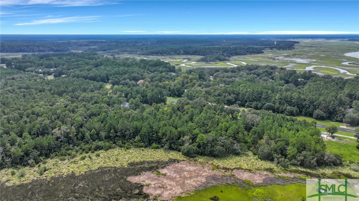 Lot #s Lot Road Townsend, GA 31331 - Photo 19 of 50