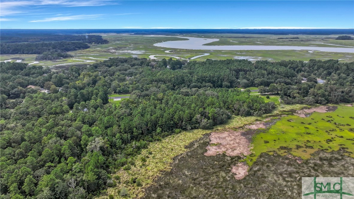 Lot #s Lot Road Townsend, GA 31331 - Photo 20 of 50