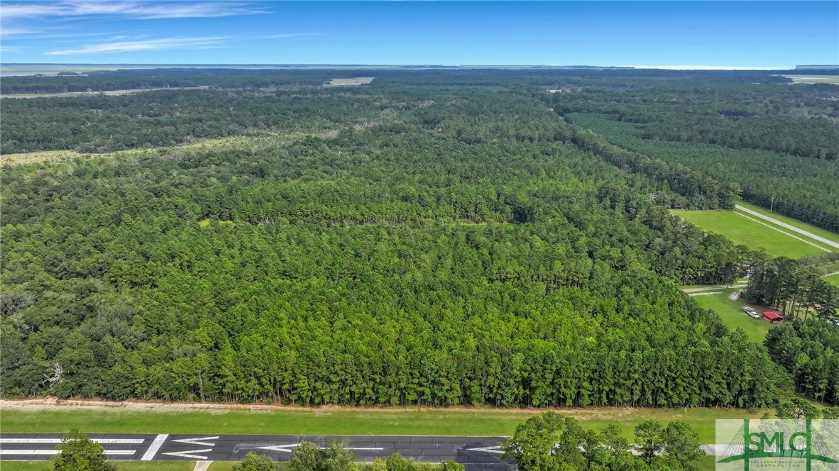 Lot #s Lot Road Townsend, GA 31331 - Photo 22 of 50