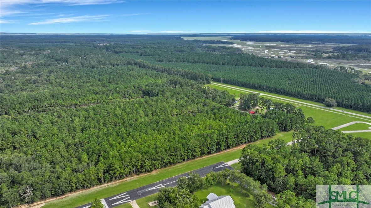 Lot #s Lot Road Townsend, GA 31331 - Photo 23 of 50