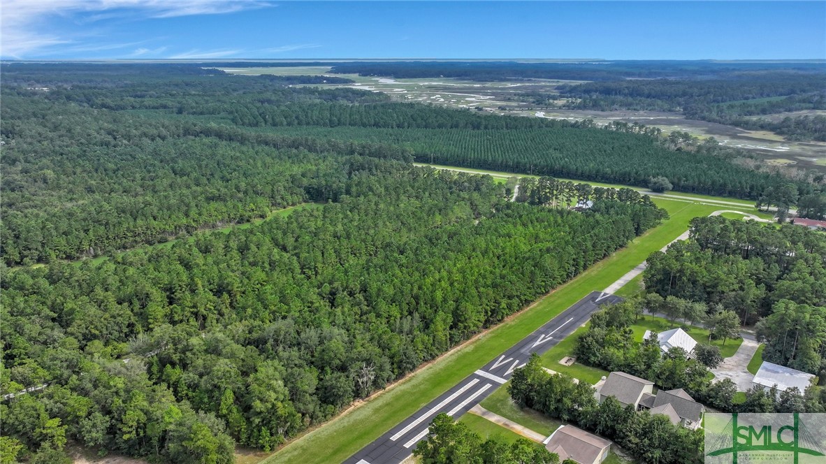 Lot #s Lot Road Townsend, GA 31331 - Photo 24 of 50