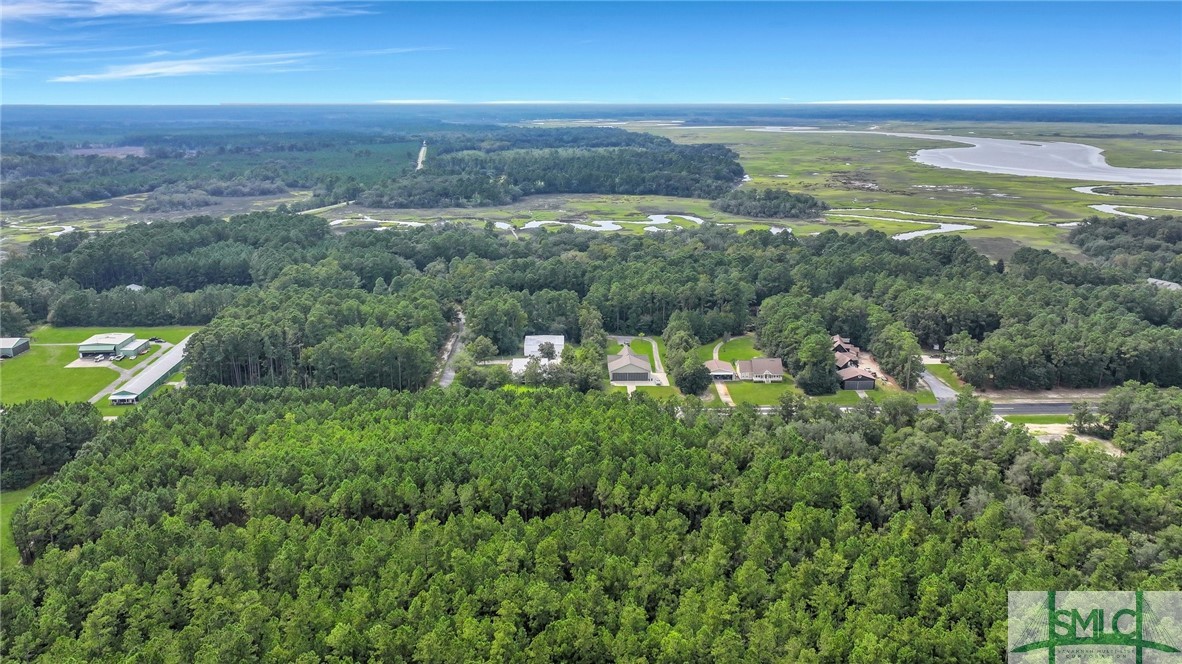 Lot #s Lot Road Townsend, GA 31331 - Photo 27 of 50