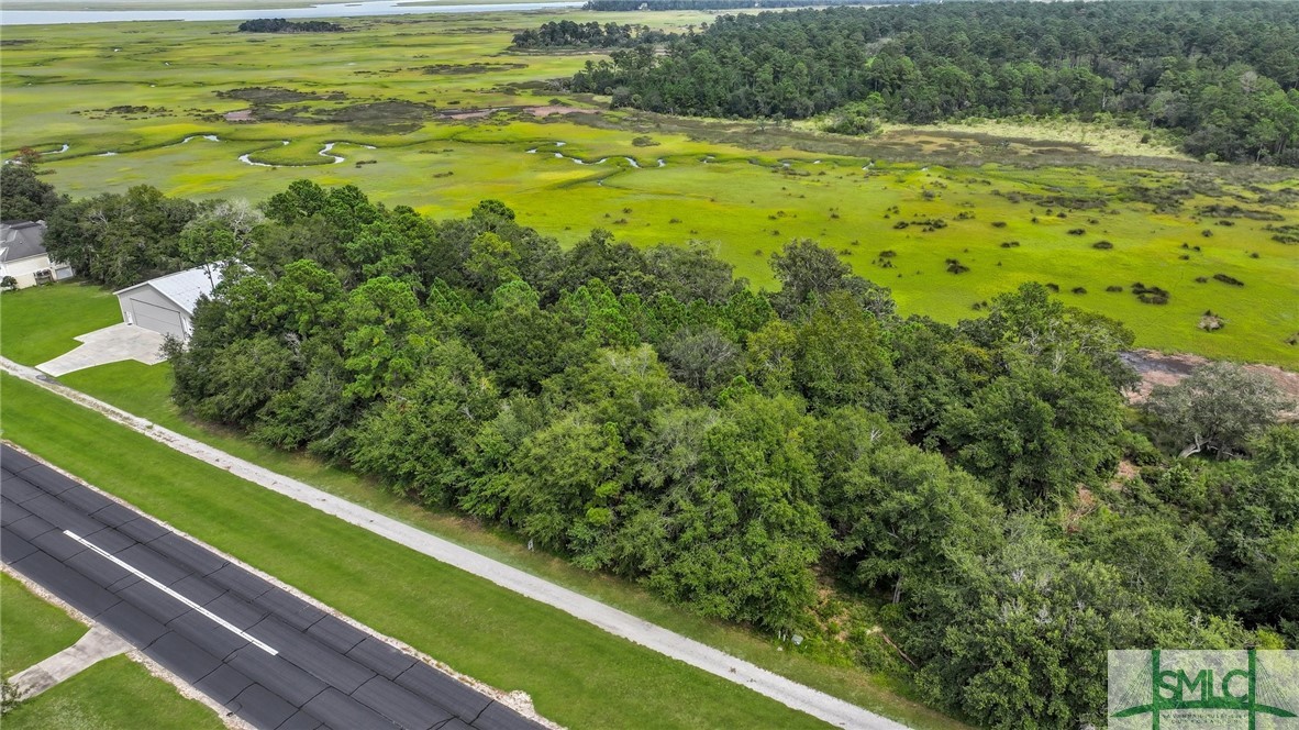 Lot #s Lot Road Townsend, GA 31331 - Photo 7 of 50