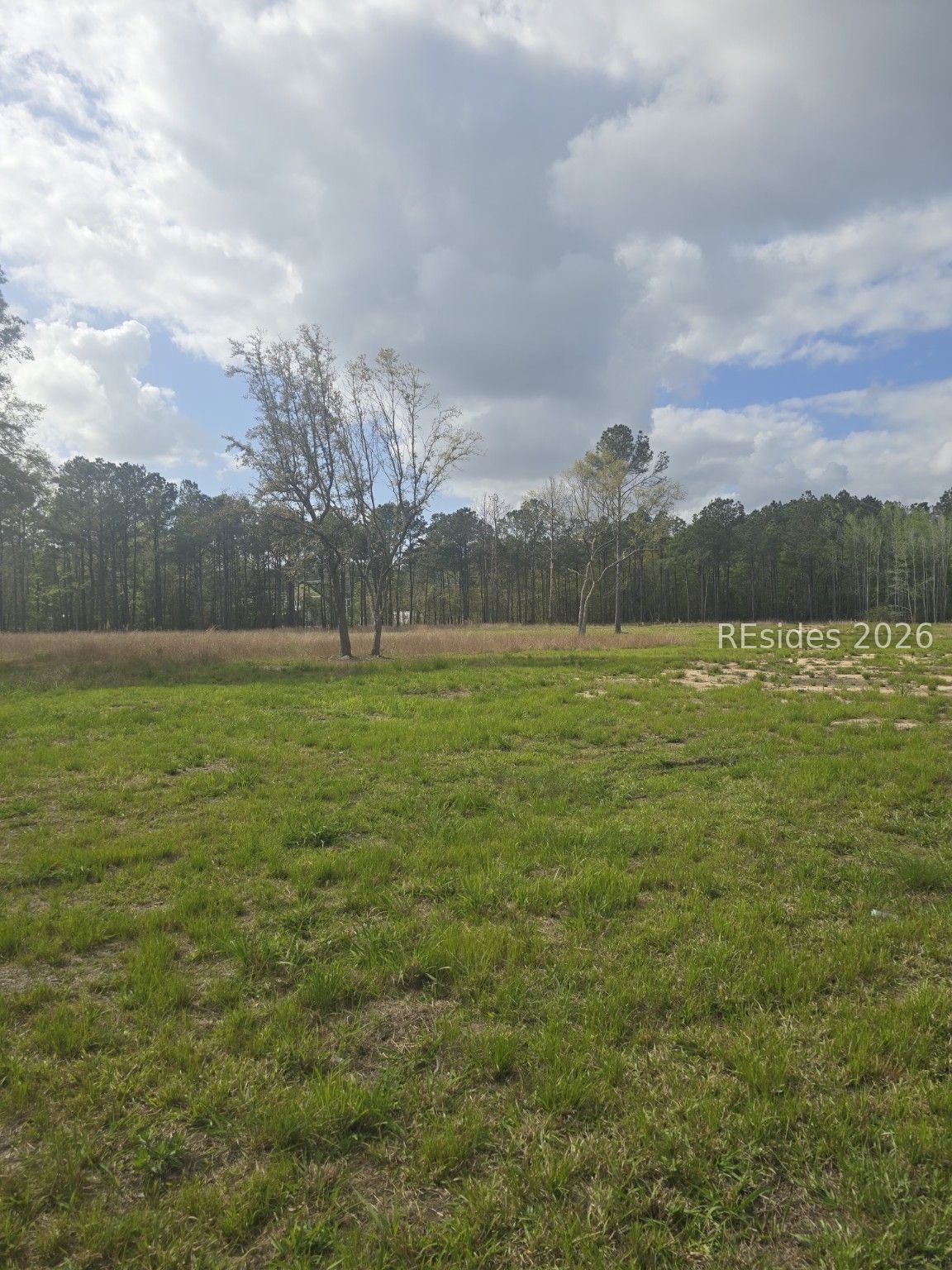 L4-lot B Roseland Road Ridgeland, SC 29936 - Photo 2 of 6