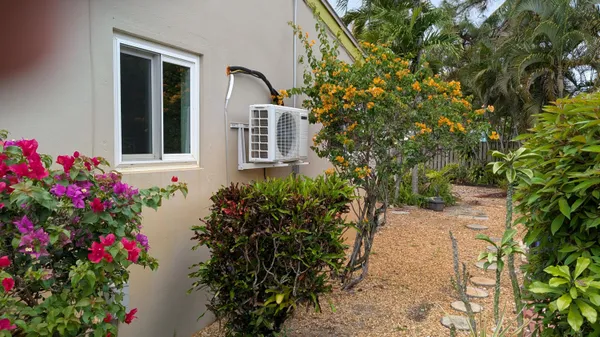 a flower plants in front of a house