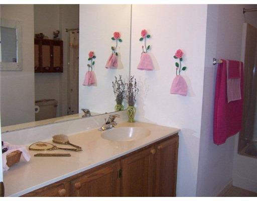 350 Buffalo Ridge Road Canonsburg, PA 15317 - Photo 14 of 18 Full Bath.