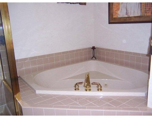 350 Buffalo Ridge Road Canonsburg, PA 15317 - Photo 10 of 18 Master Bath/Spa.