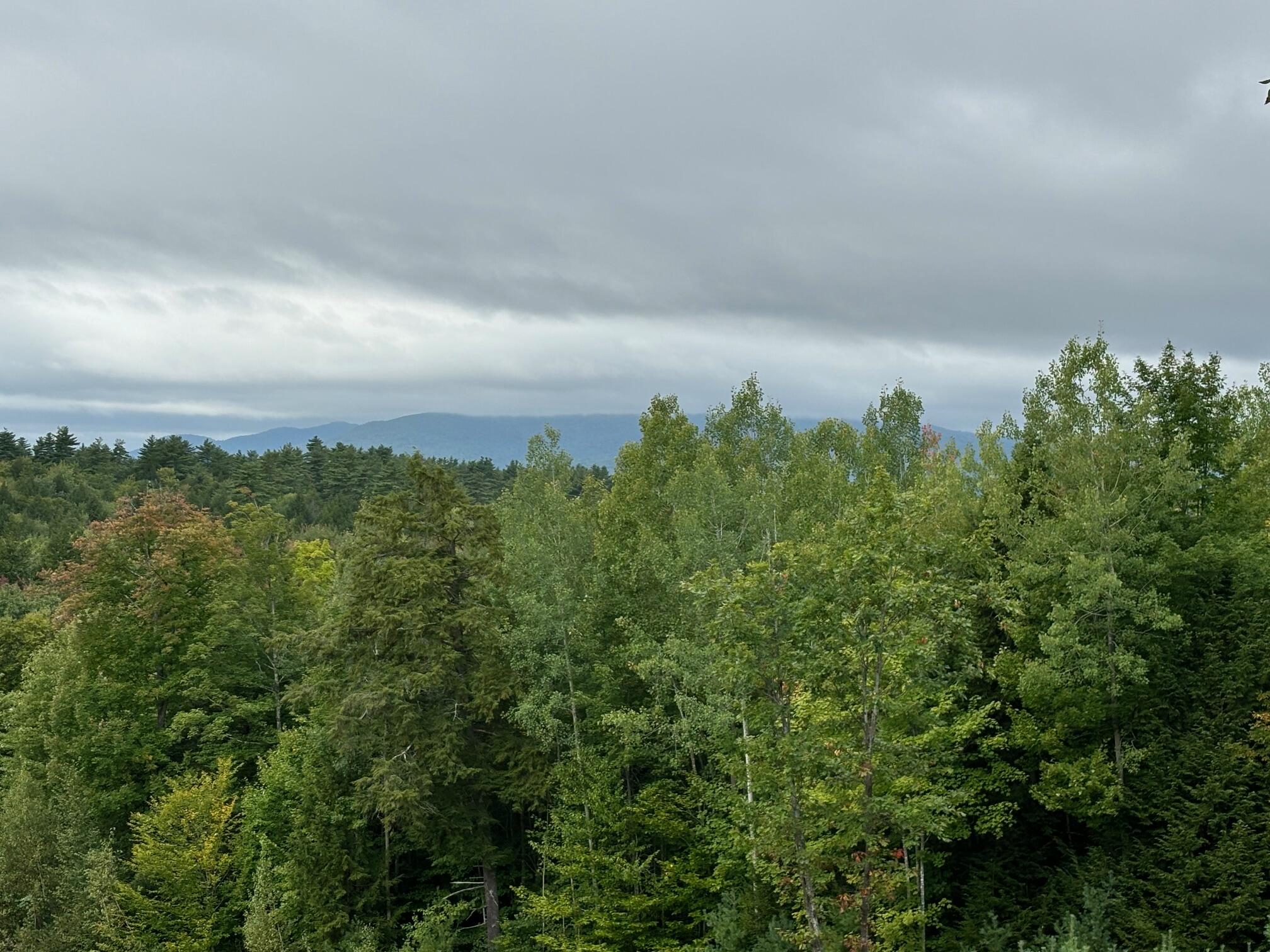 18 Loop Road Fryeburg, ME 04037 - Photo 5 of 6 IMG_1333