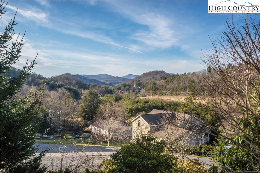 321 Russelton Road Boone, NC 28607 - Photo 3 of 46