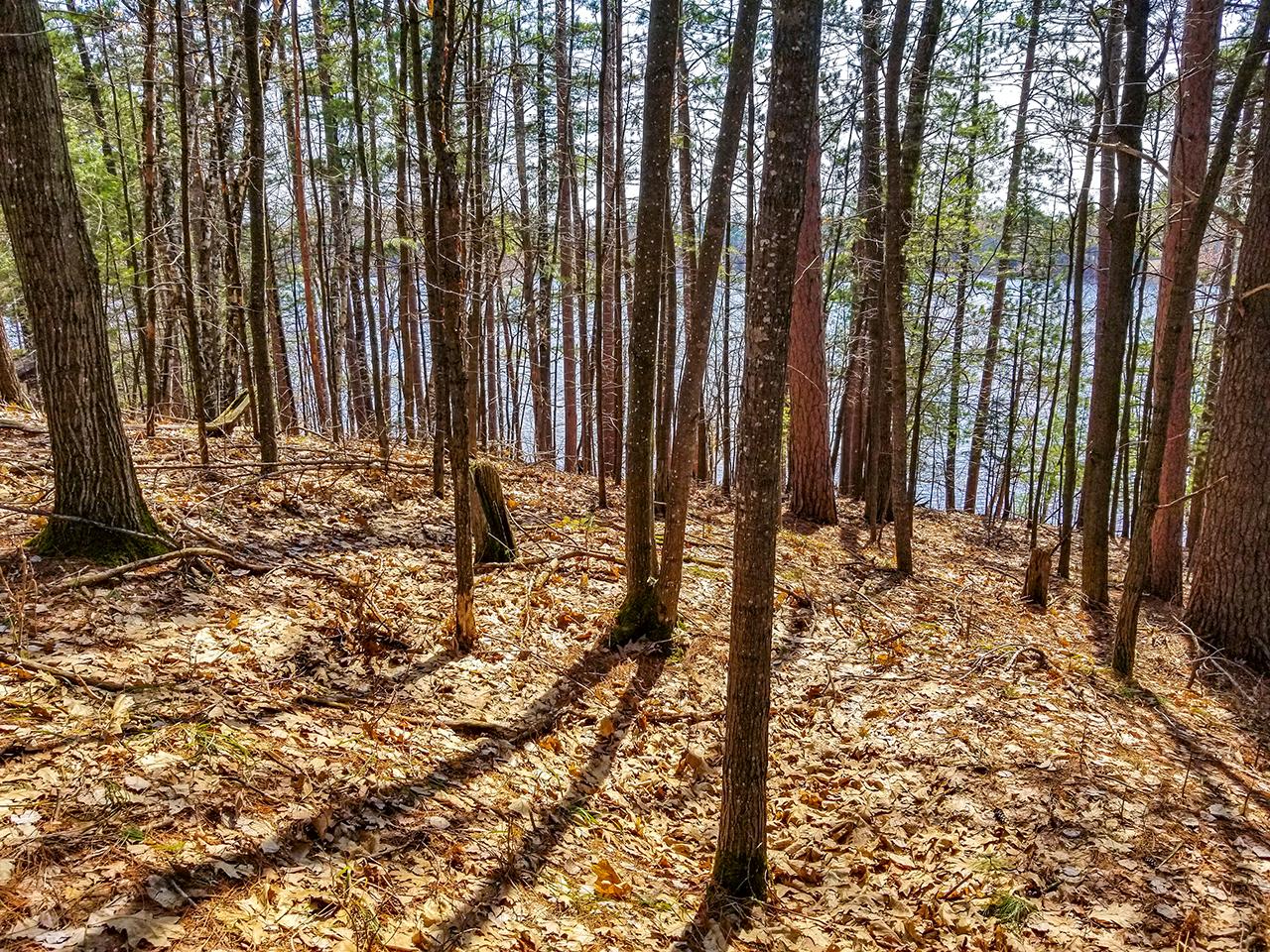 Lot Norlander Norlander Road Tomahawk, WI 54487 - Photo 17 of 17 Gallery Image 17